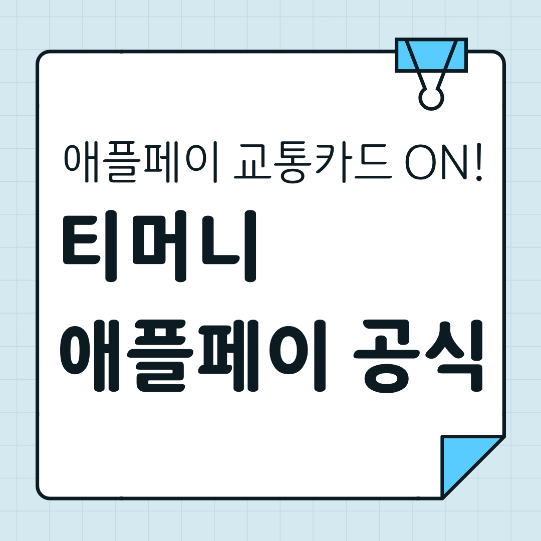 애플페이 티머니